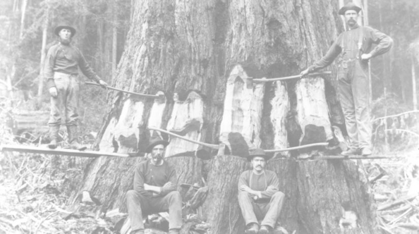 Lumberjacks in historic photograph featured image for narration voice over demo.